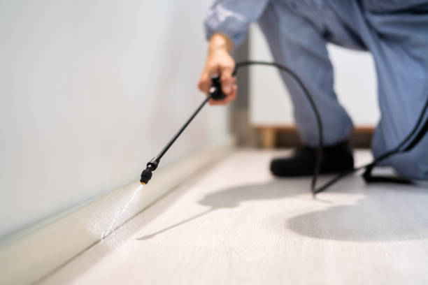 Certified termite inspector examining foundation in Verona Walk